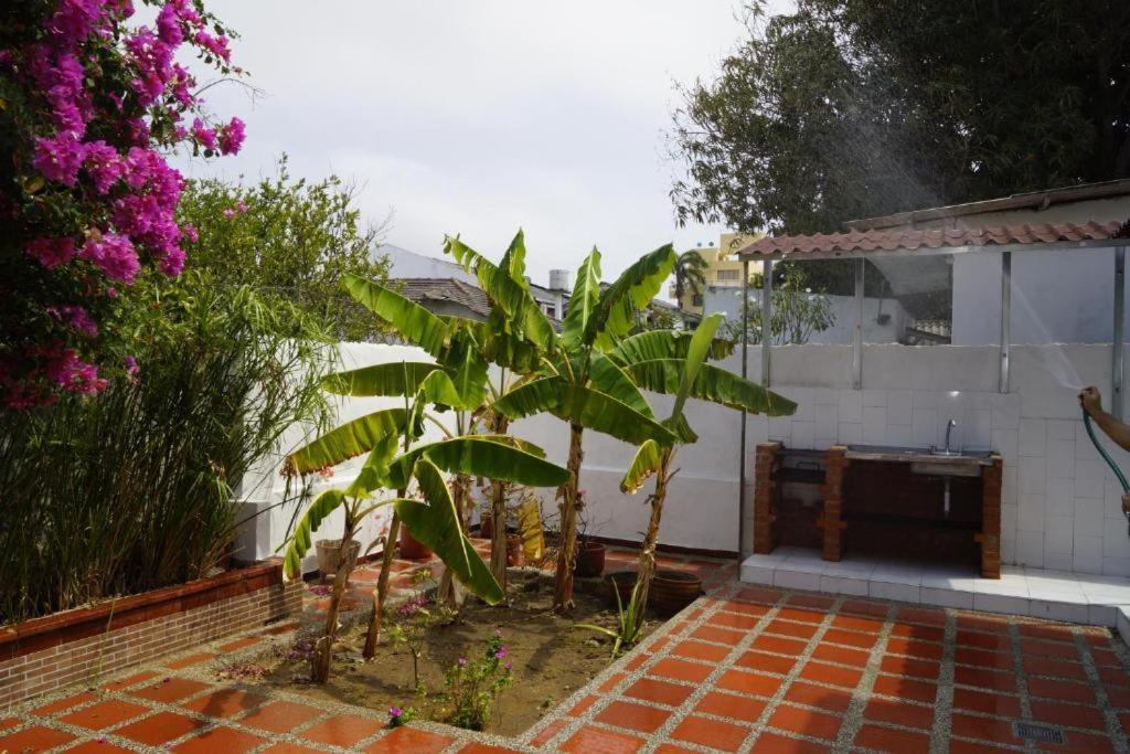 Ayenda Mar di Plata Otel Barranquilla  Dış mekan fotoğraf