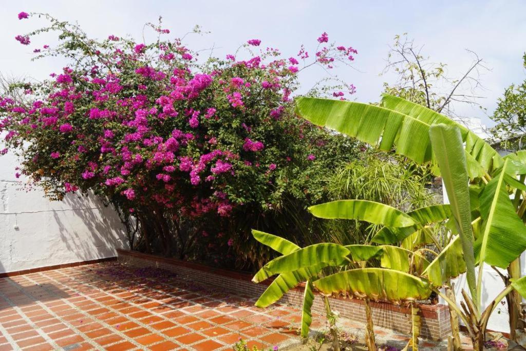 Ayenda Mar di Plata Otel Barranquilla  Dış mekan fotoğraf