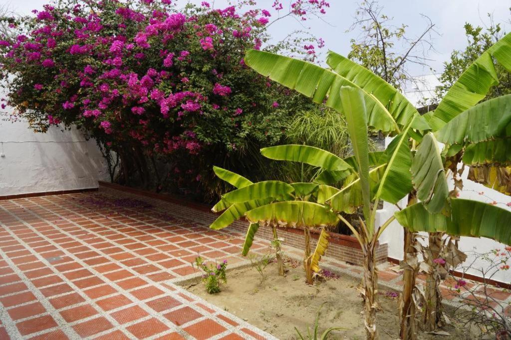 Ayenda Mar di Plata Otel Barranquilla  Dış mekan fotoğraf