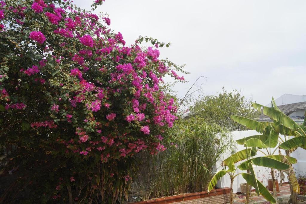 Ayenda Mar di Plata Otel Barranquilla  Dış mekan fotoğraf