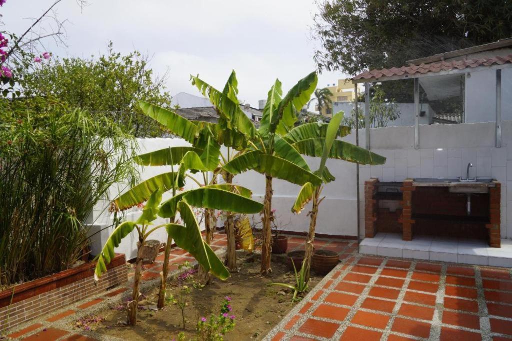 Ayenda Mar di Plata Otel Barranquilla  Dış mekan fotoğraf